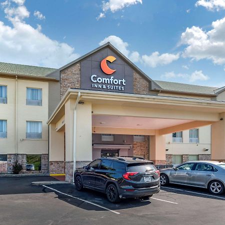 סינסינטי Comfort Inn & Suites מראה חיצוני תמונה