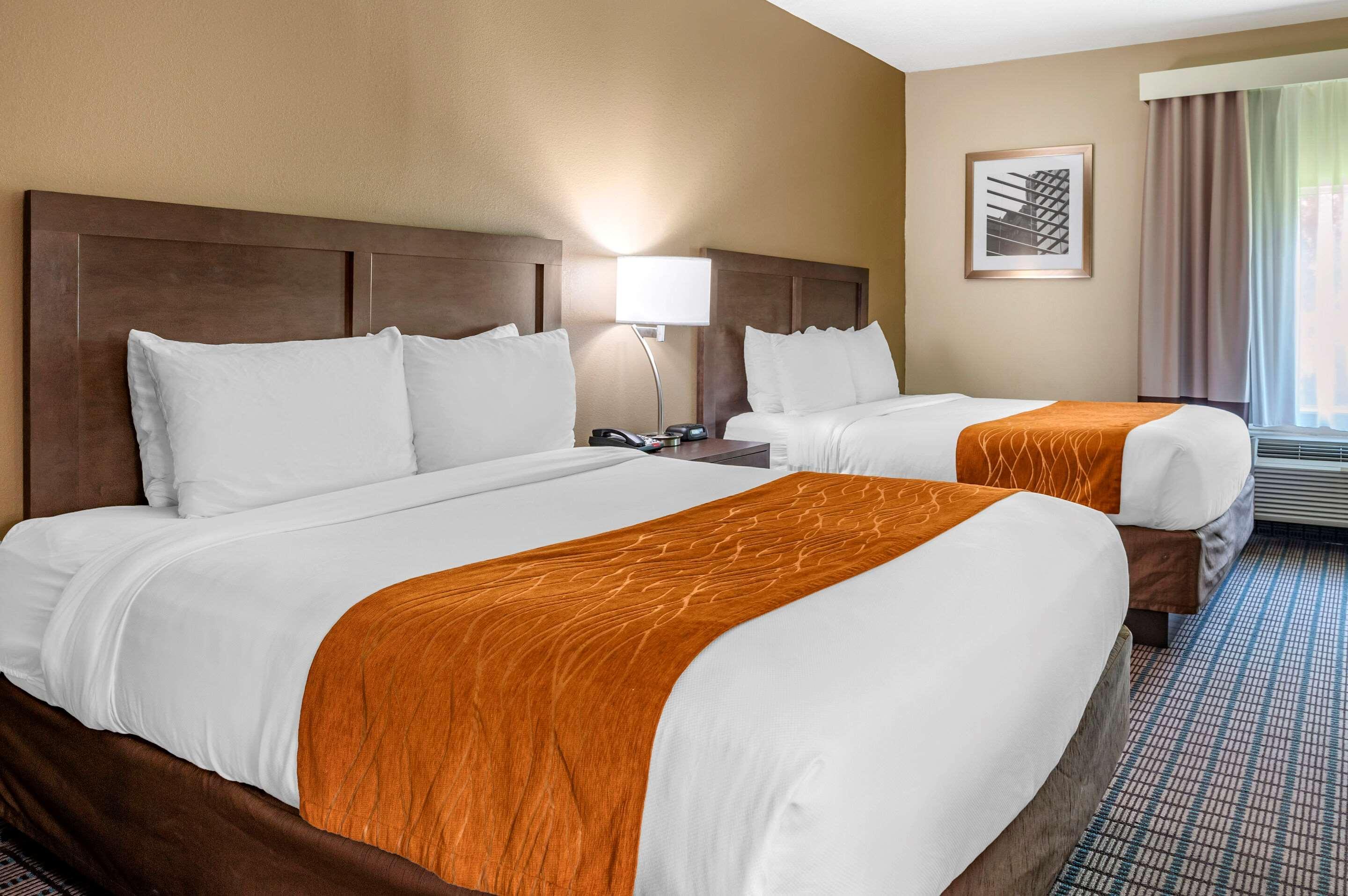 סינסינטי Comfort Inn & Suites מראה חיצוני תמונה