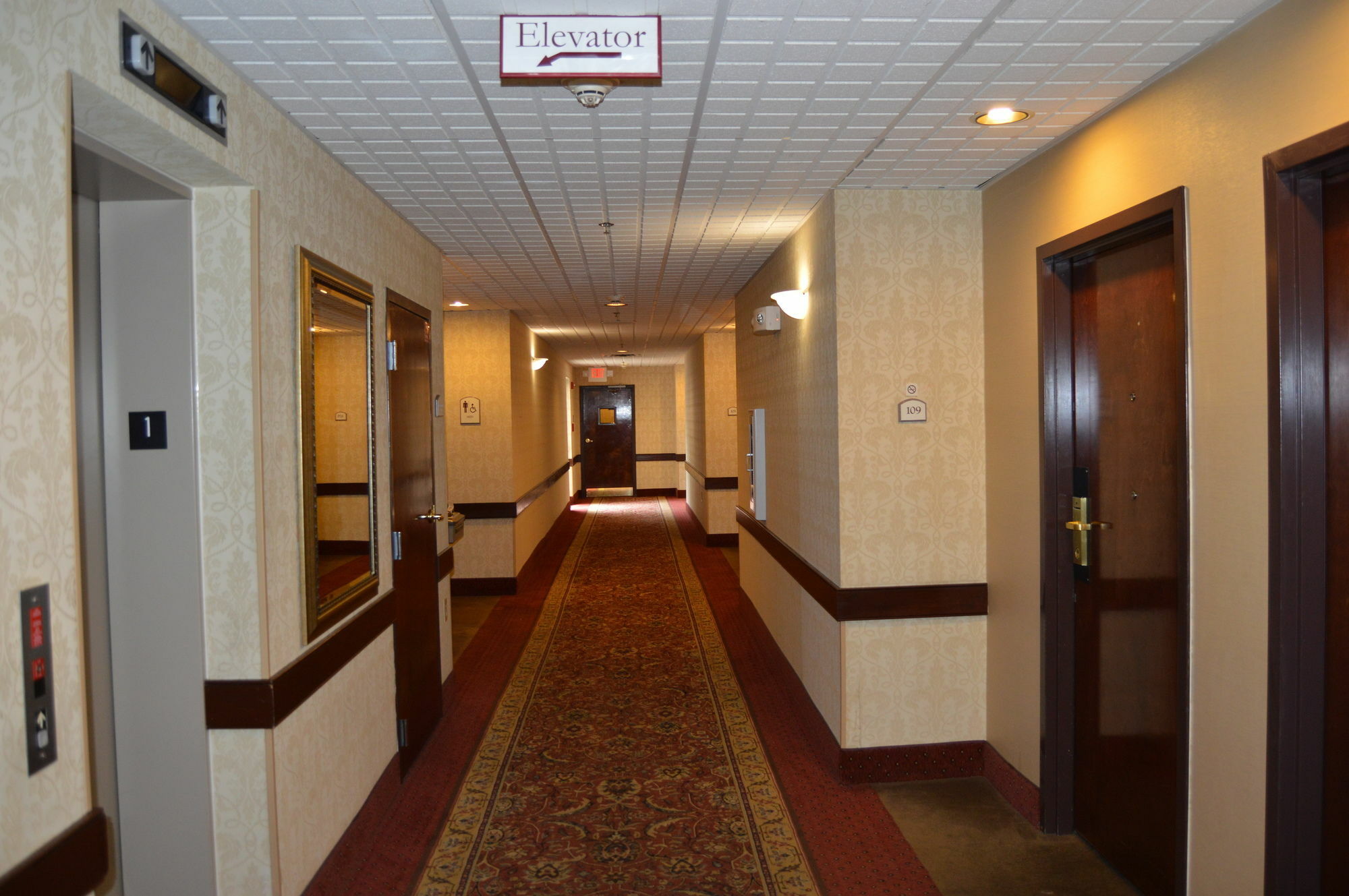 סינסינטי Comfort Inn & Suites מראה חיצוני תמונה